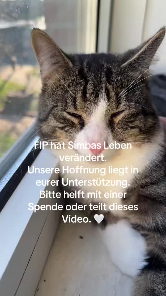@helpsimba