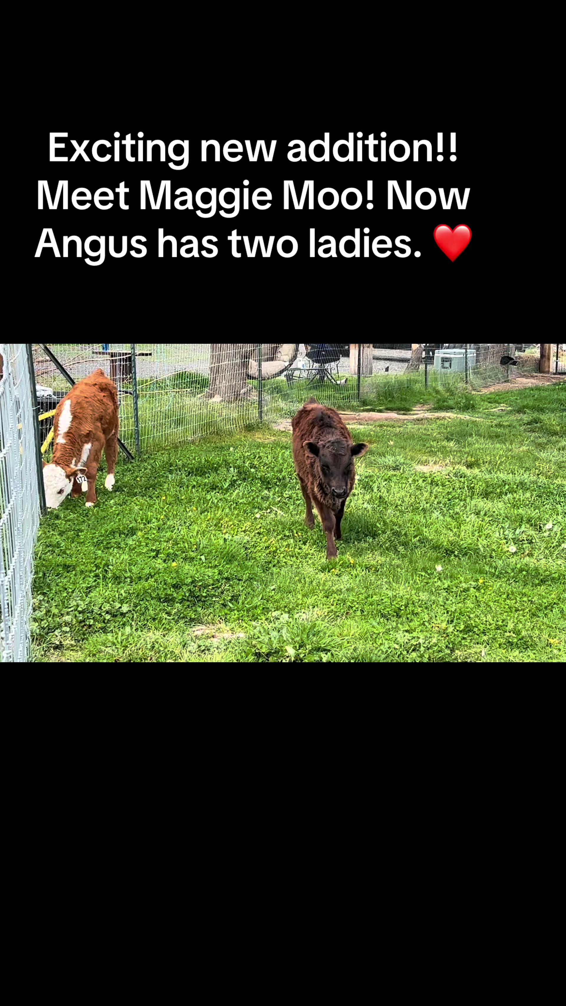 @WollamFarm