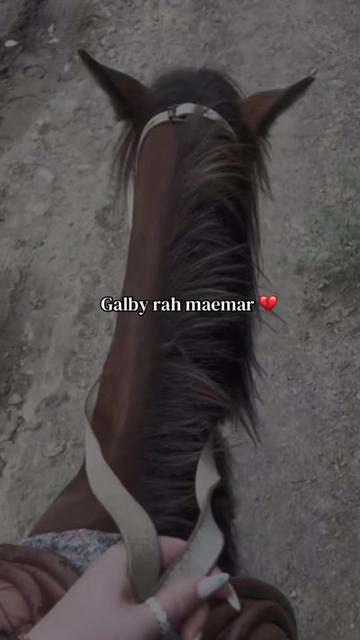 @Ro_mi 💕👑