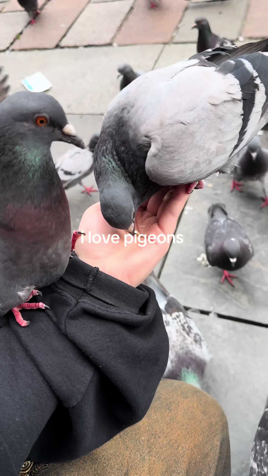 @mlem
