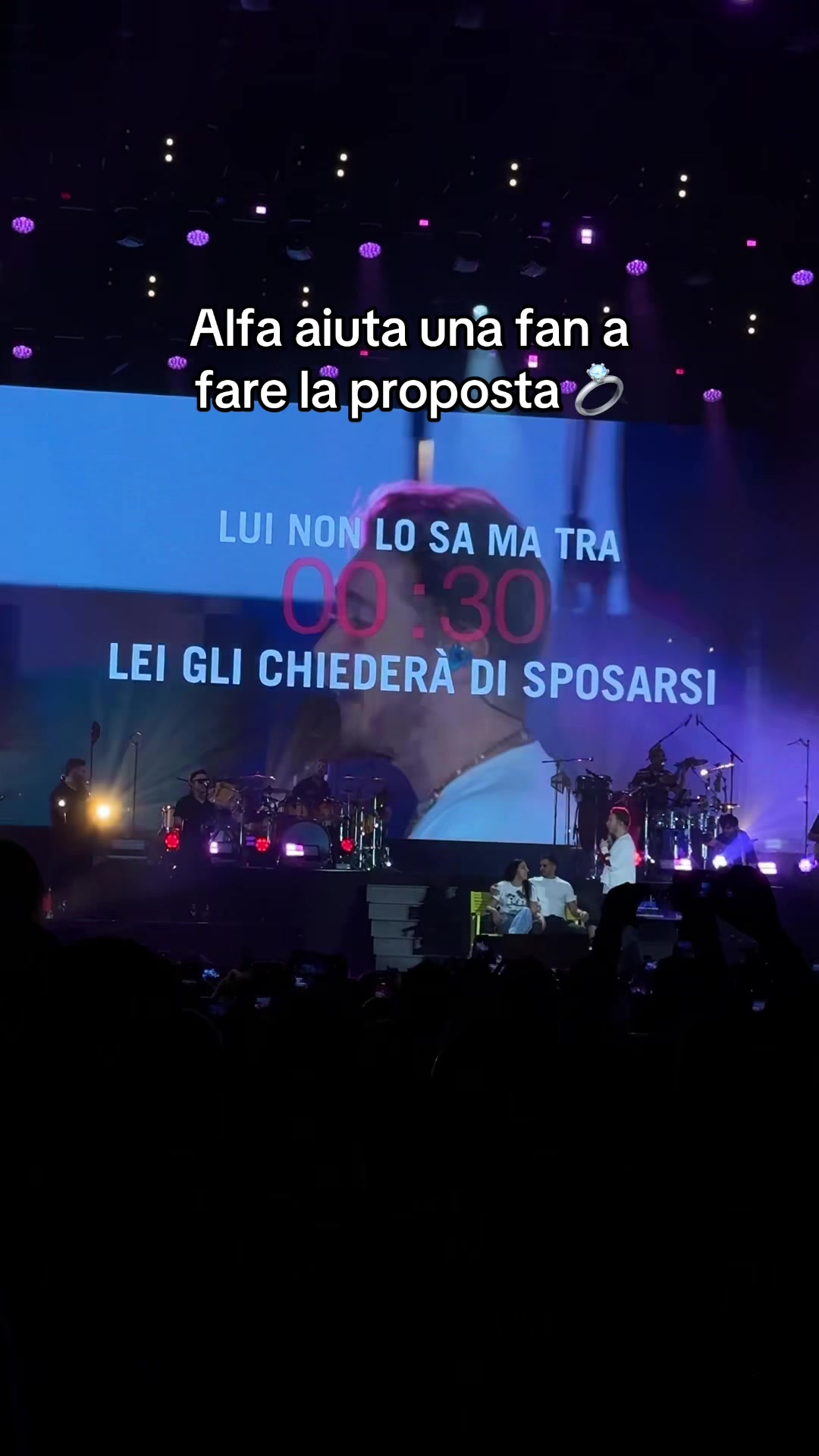 @alfa fan