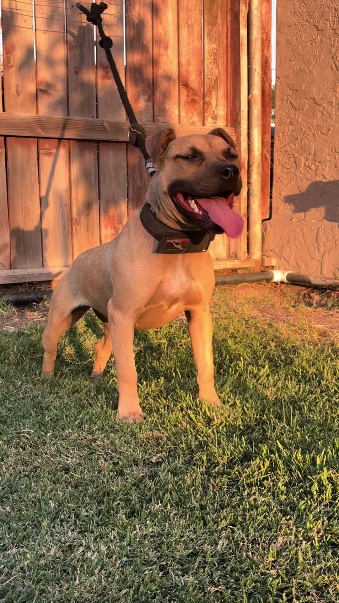 @Rancho_Ramirez209