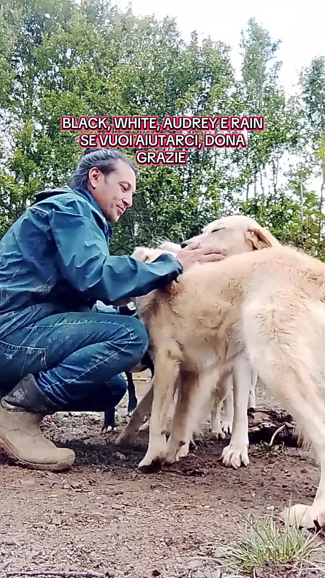 @Biagio Nasti Pelosisos