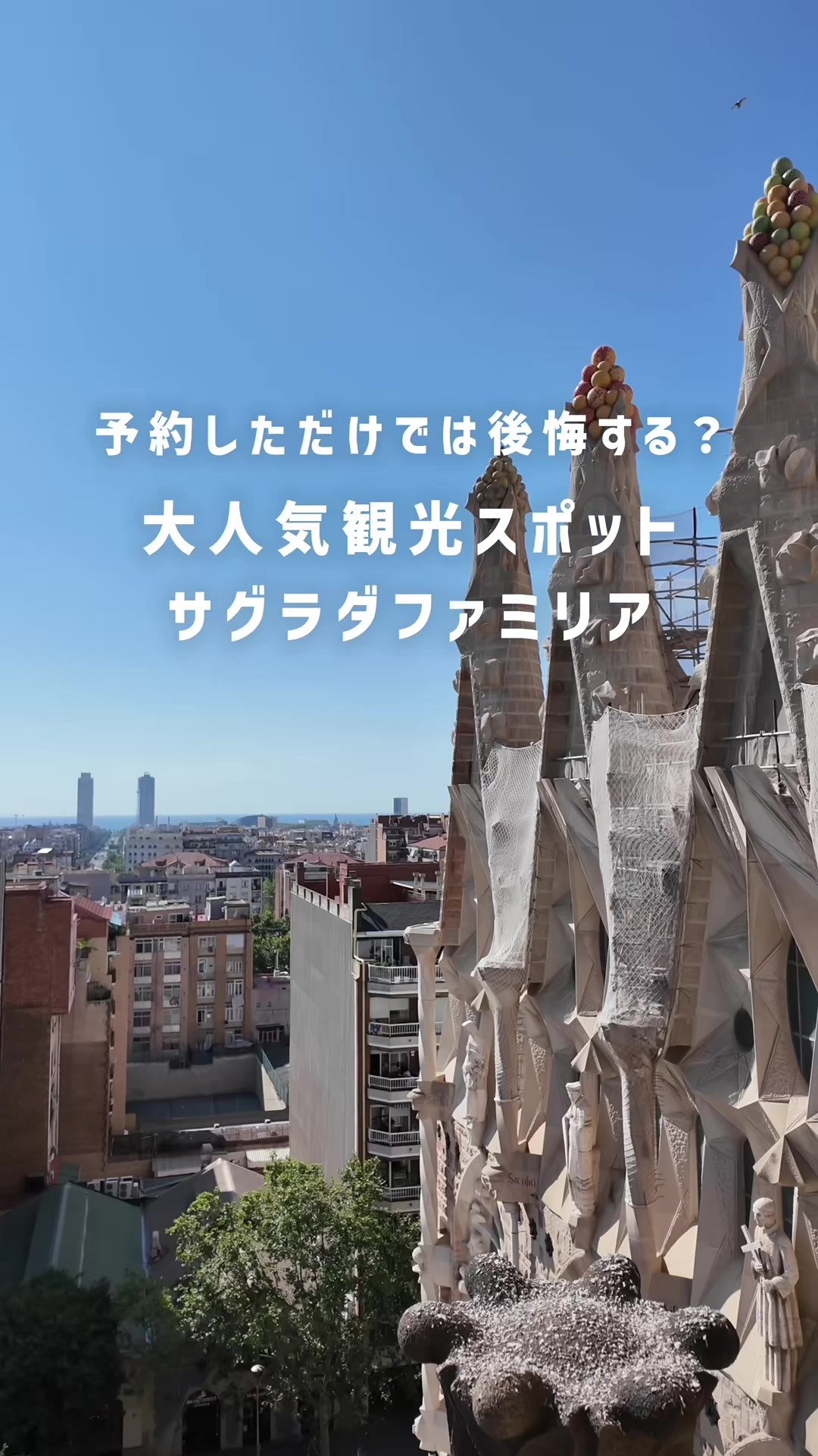 @マイルちゃん@月10万円以上旅費に使う女✈