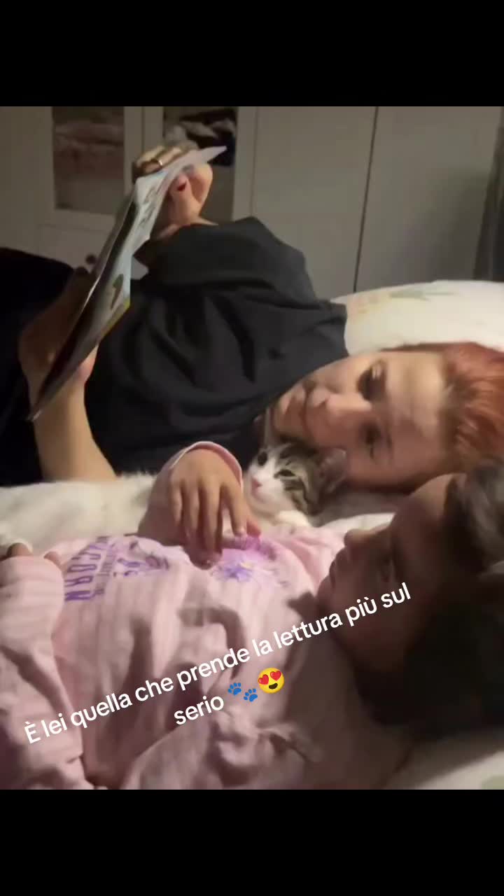 @cuore.animale