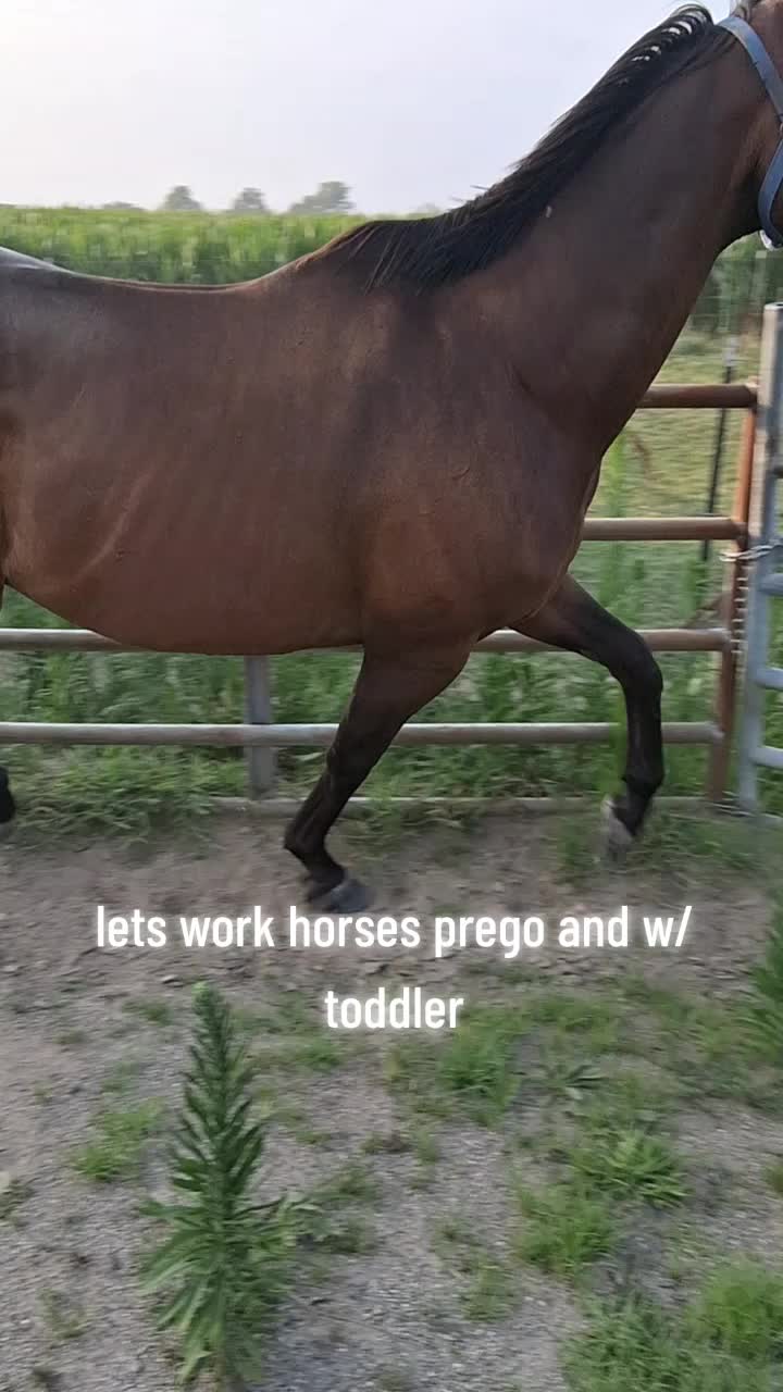 @Taylor | Sah{farm}m