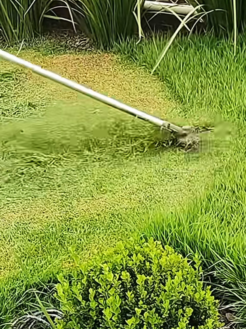 @Satisfying Mowing