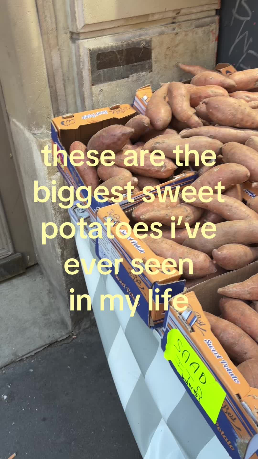 @angelina