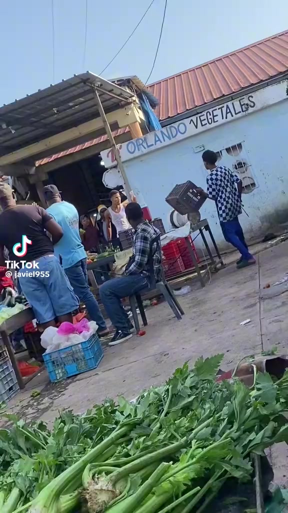 @yoan piña