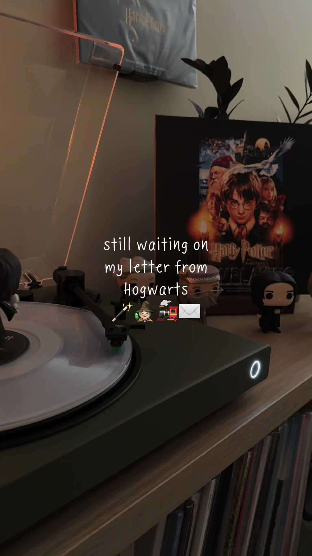 @Sam | Vinyl Record Collector