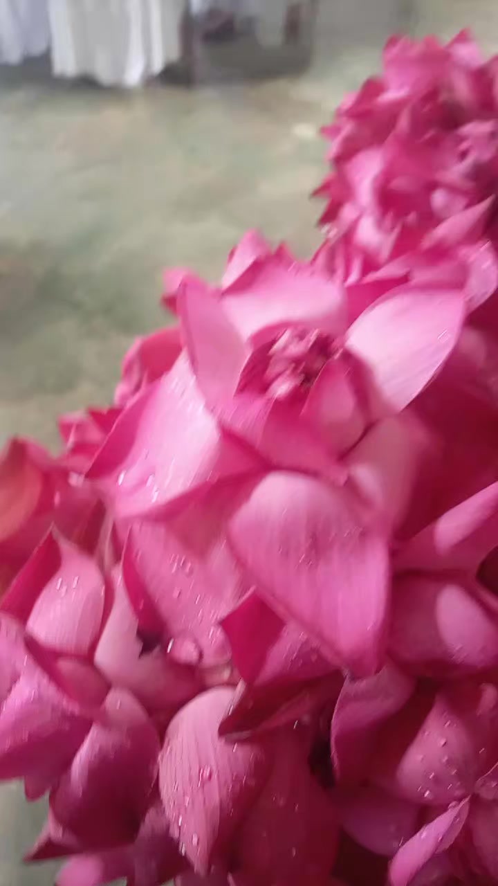 @සබ්බ දානං ධම්ම දානං ජිනාති