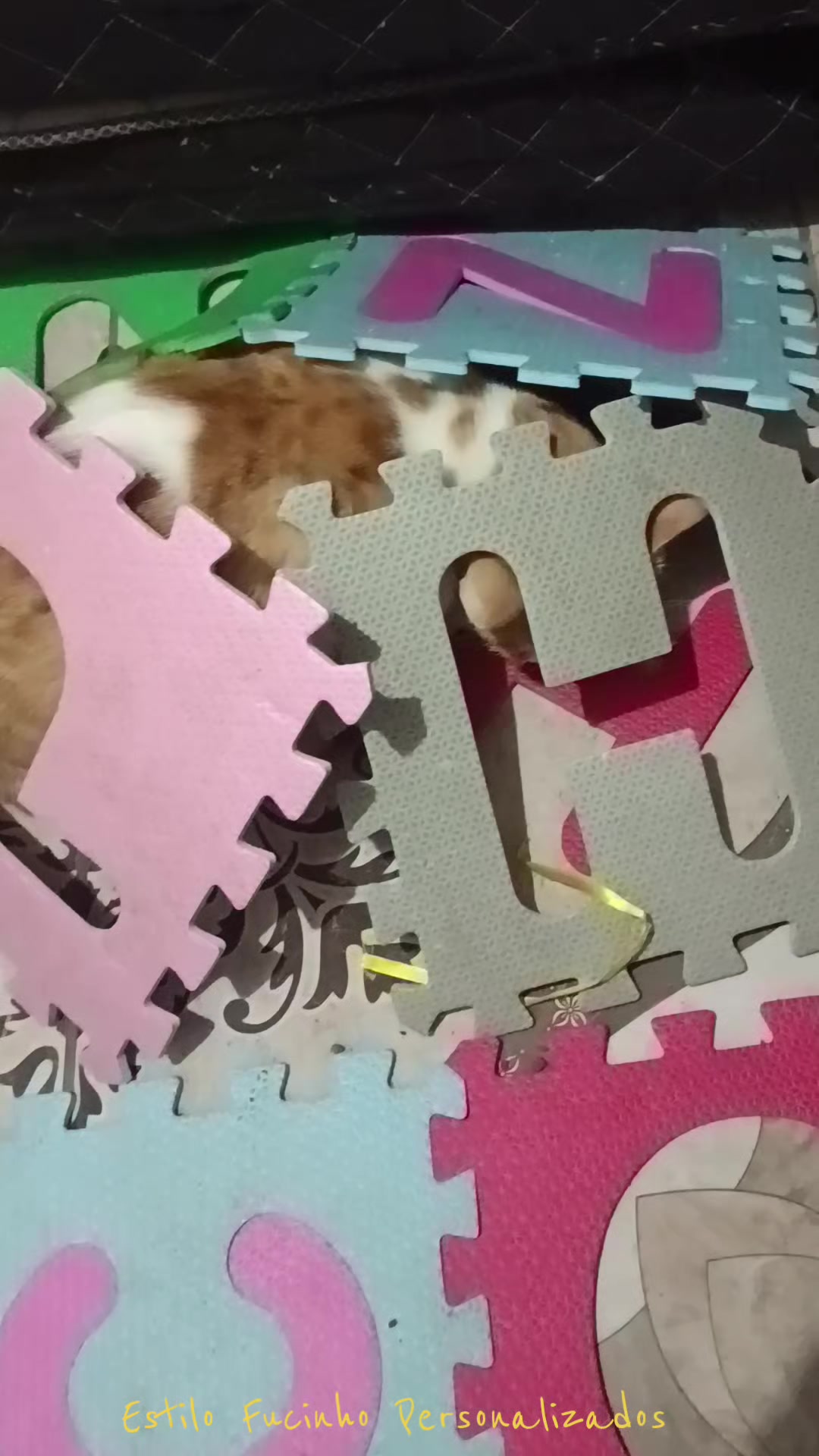 @Estilo Fucinho😻Personalizados