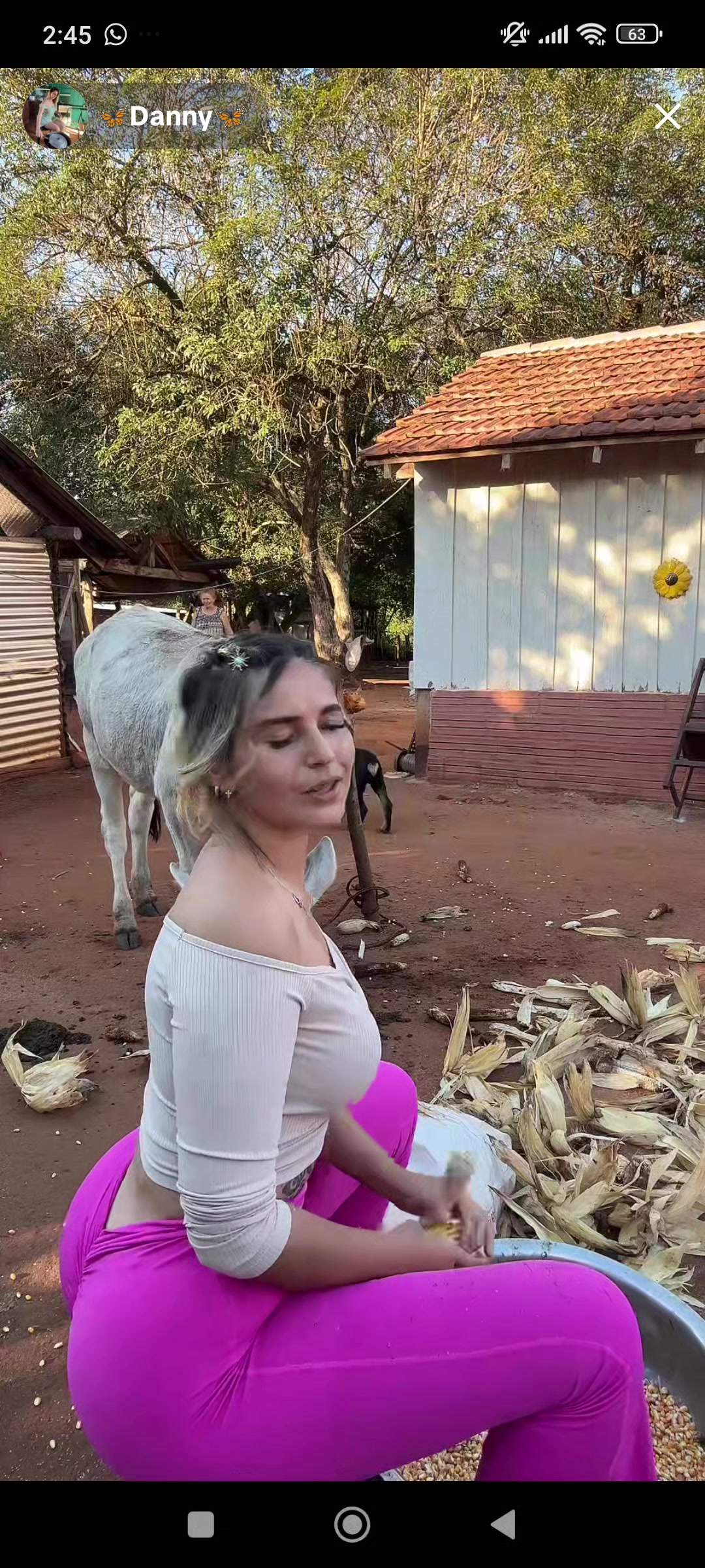 @estelar