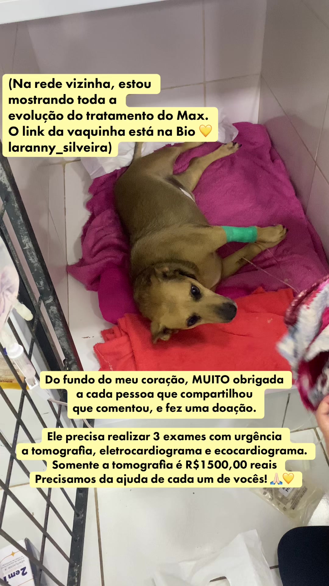 @Ajude o Max! 💙🐾