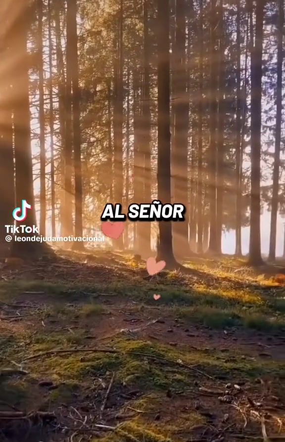 @ileanalopez18