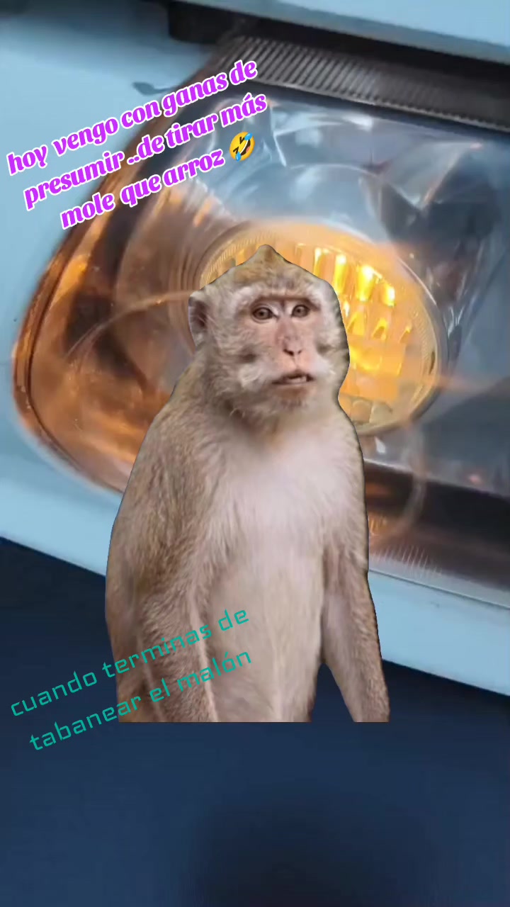 @villa
