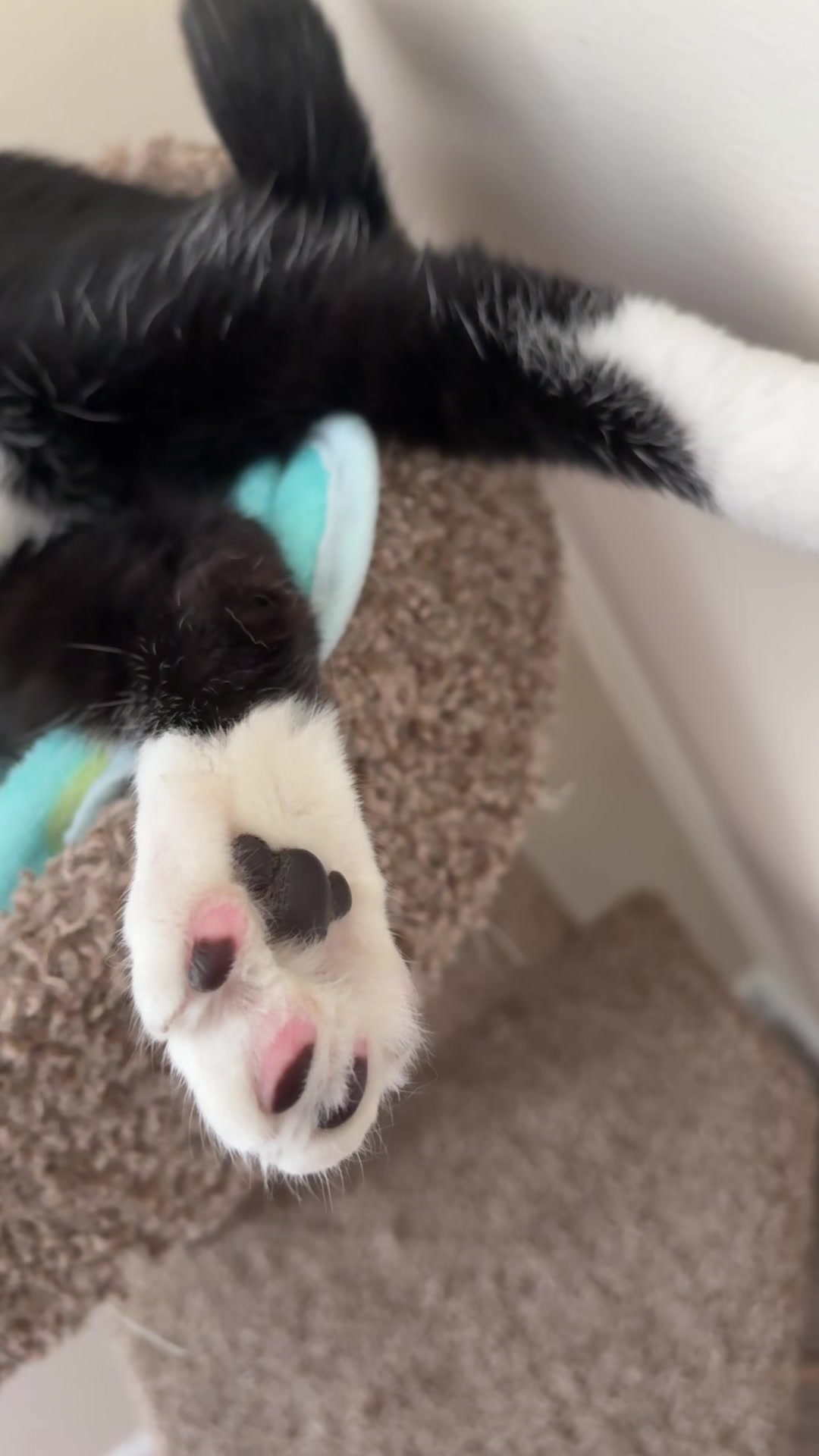 @Kat