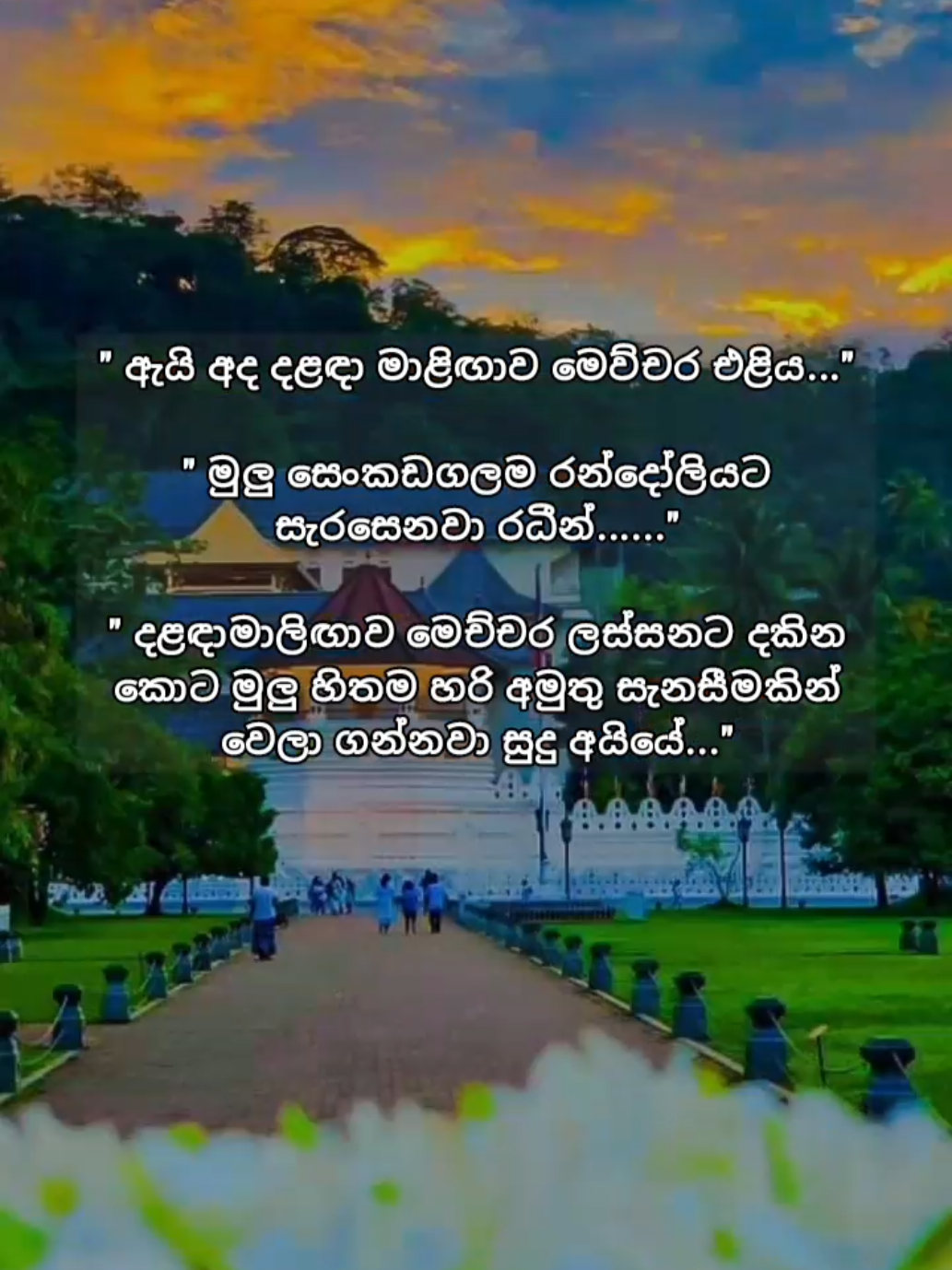 @Larsk_za