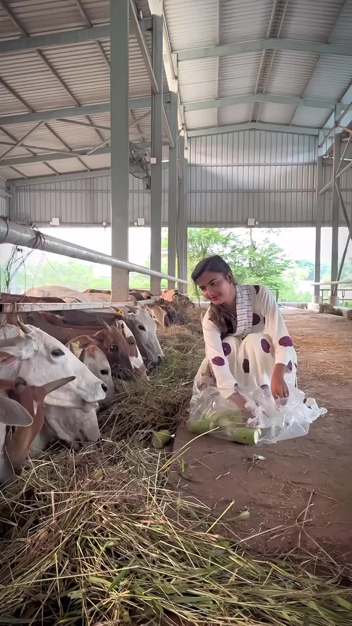 @radhikasen053