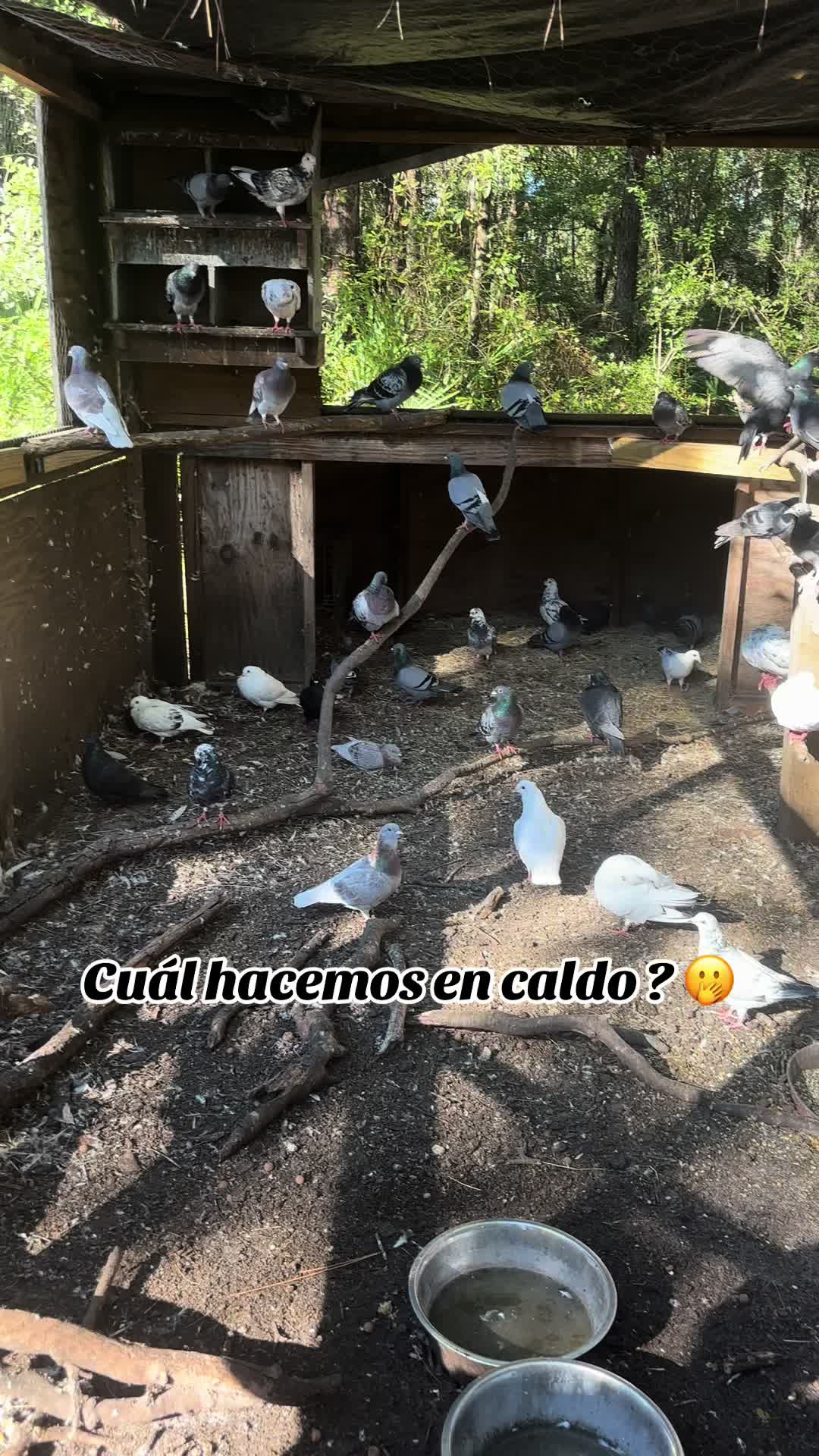 @ElsyGusman🦺