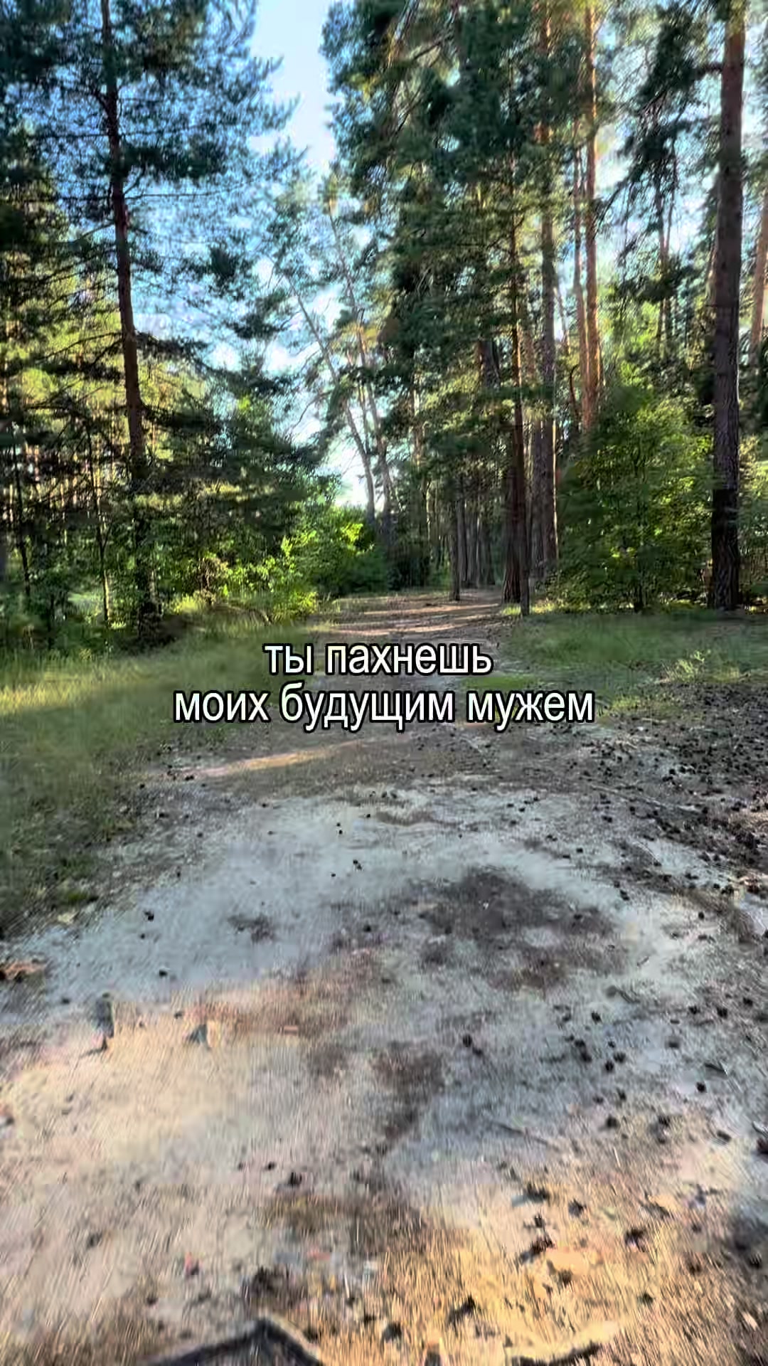 @𝐥𝐢𝐩𝐬𝐢𝐧𝐠 𝐦𝐮𝐬𝐢𝐜