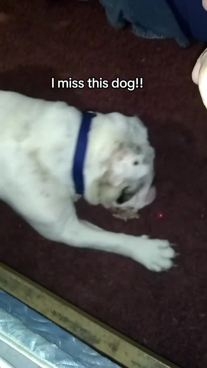 @heyitscrystaltoo