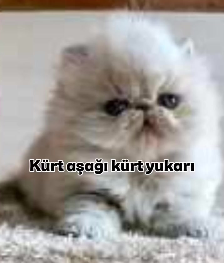 @poser_baskani4