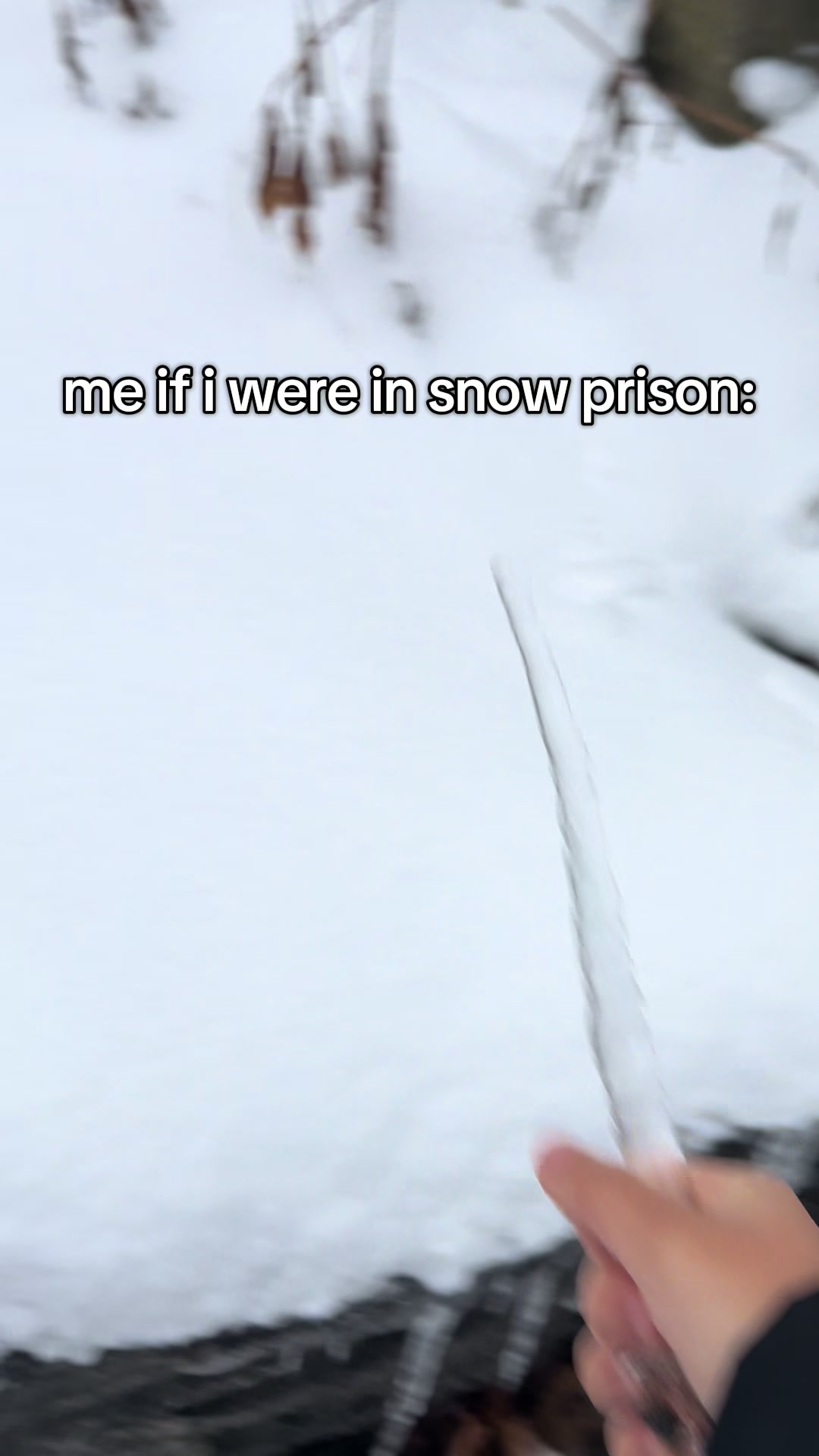 @evelyn