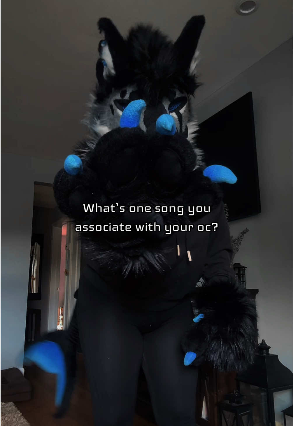 @sonar_hyena_shark