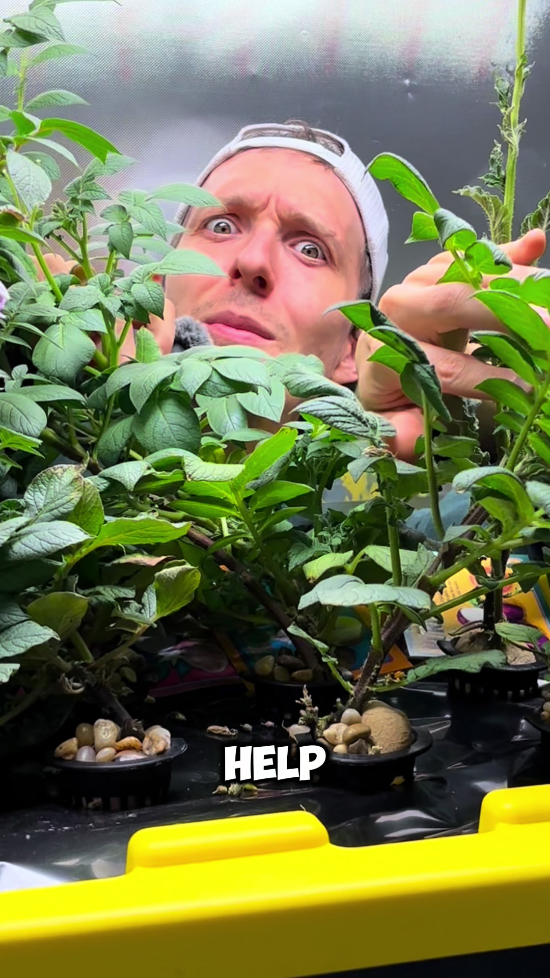 @Urban Agriculture w/ Mike