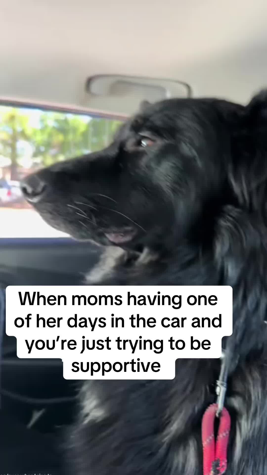 @AMHWildCreations