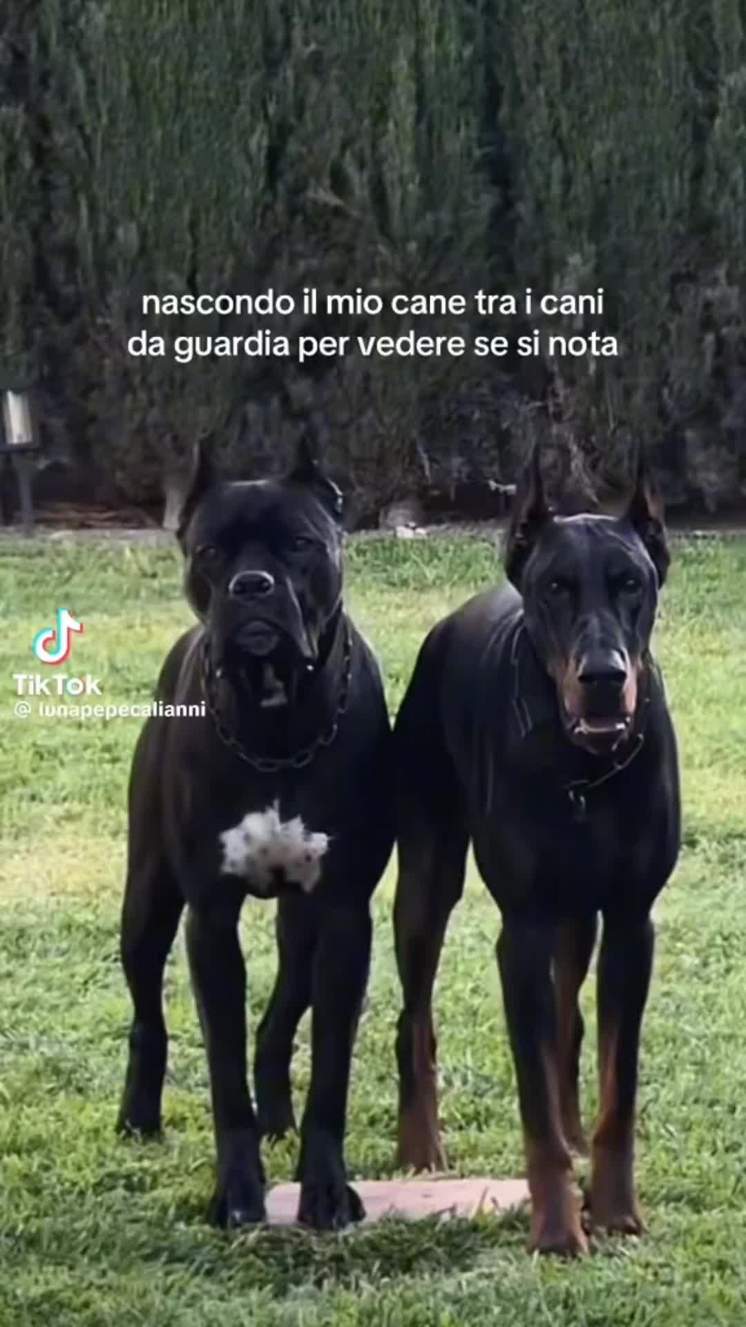 @❤️Roberta & Rey ❤️