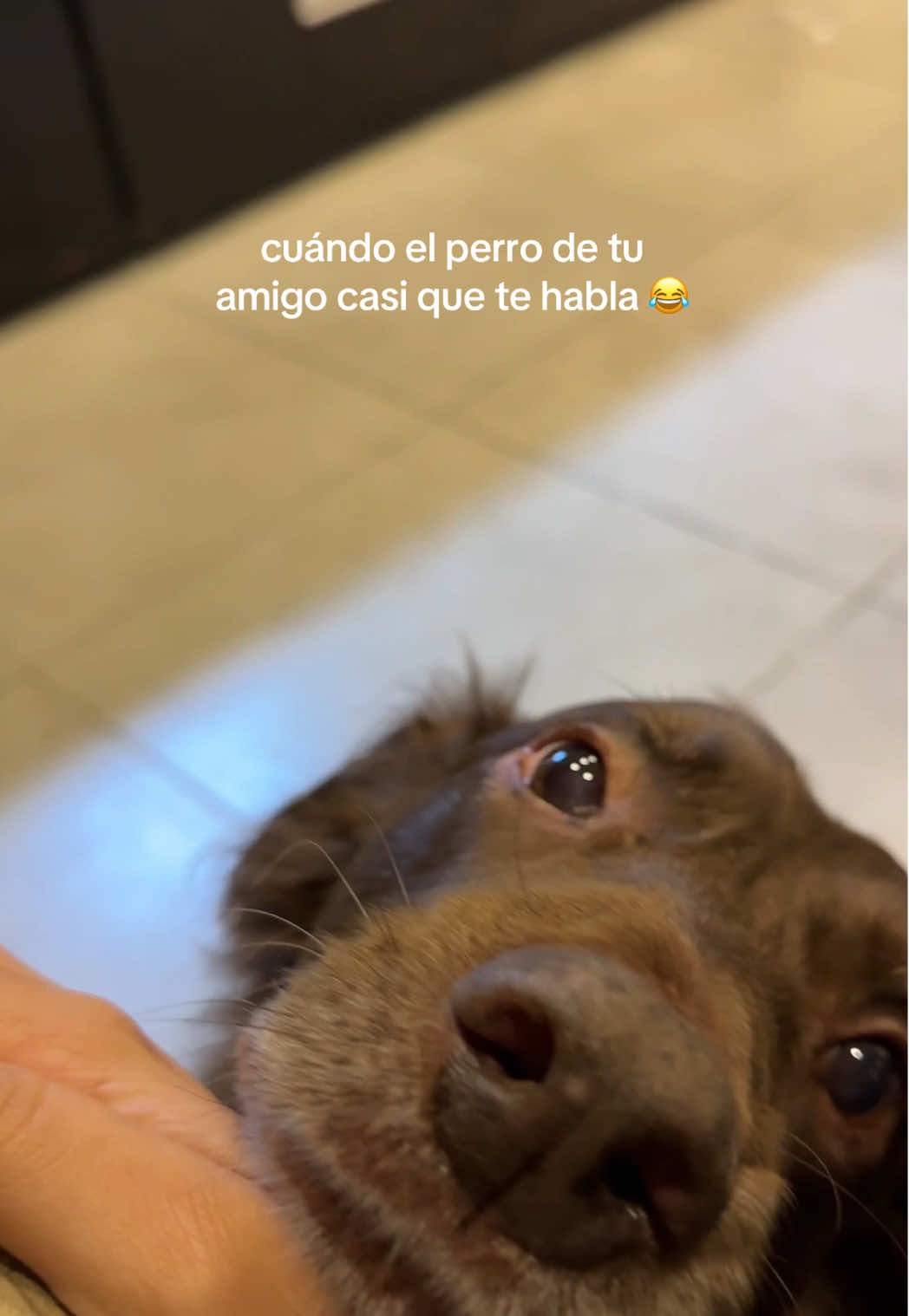 @Mar&iacute;a Fernanda Cardozo
