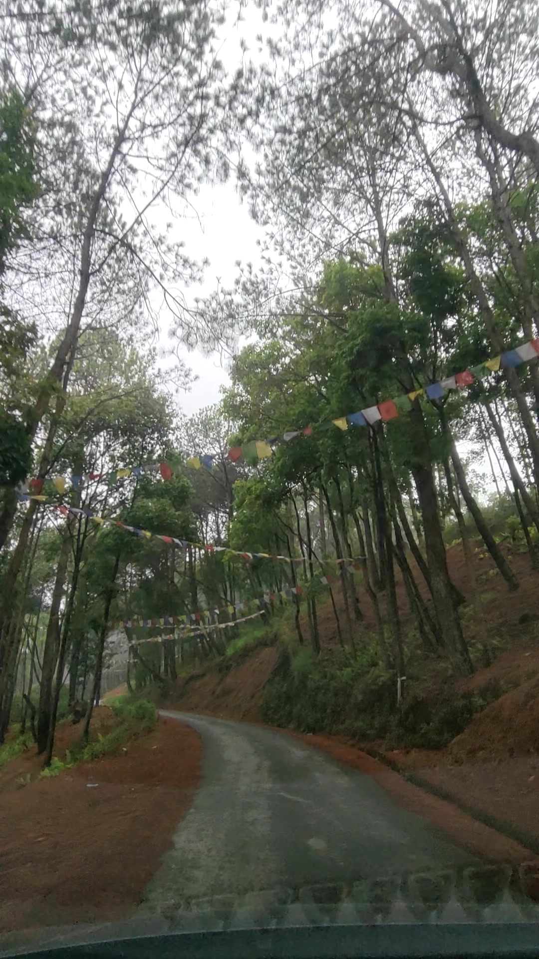 @praveena sth