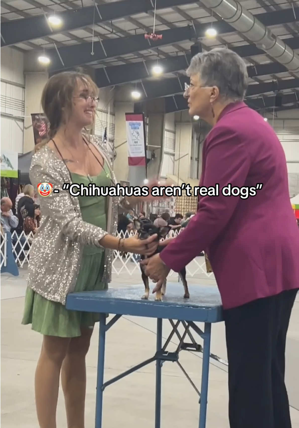 @CanineAntics