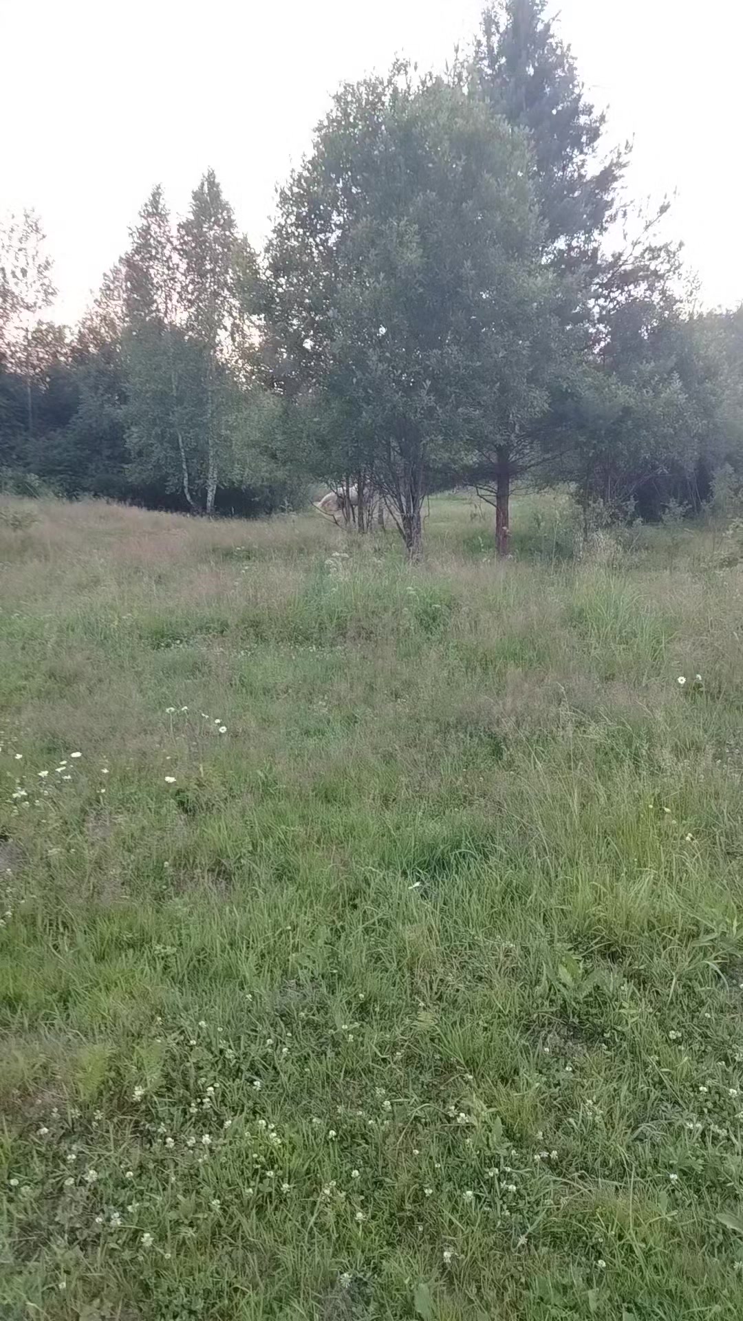 @Бурмакина Дарья