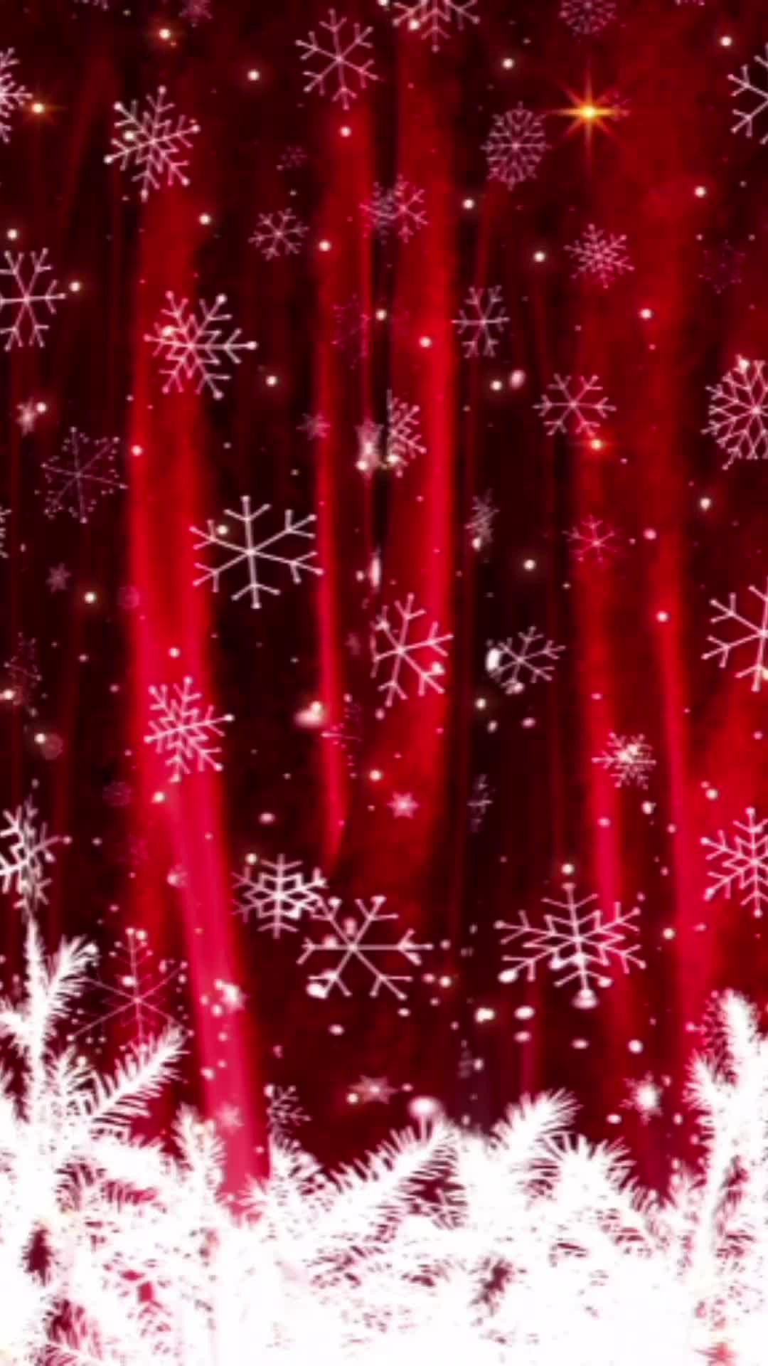 @Bewitched168
