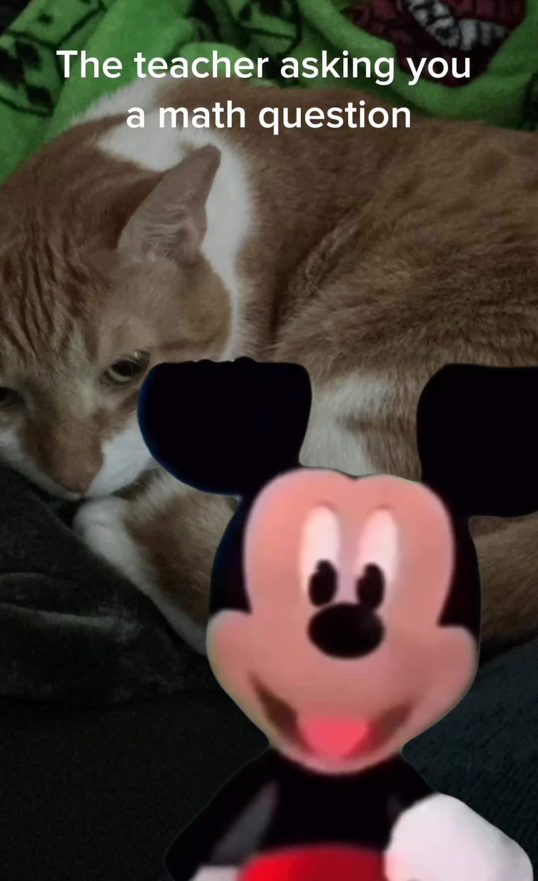 @𝓙𝓪𝓬𝓬𝓬𝓬
