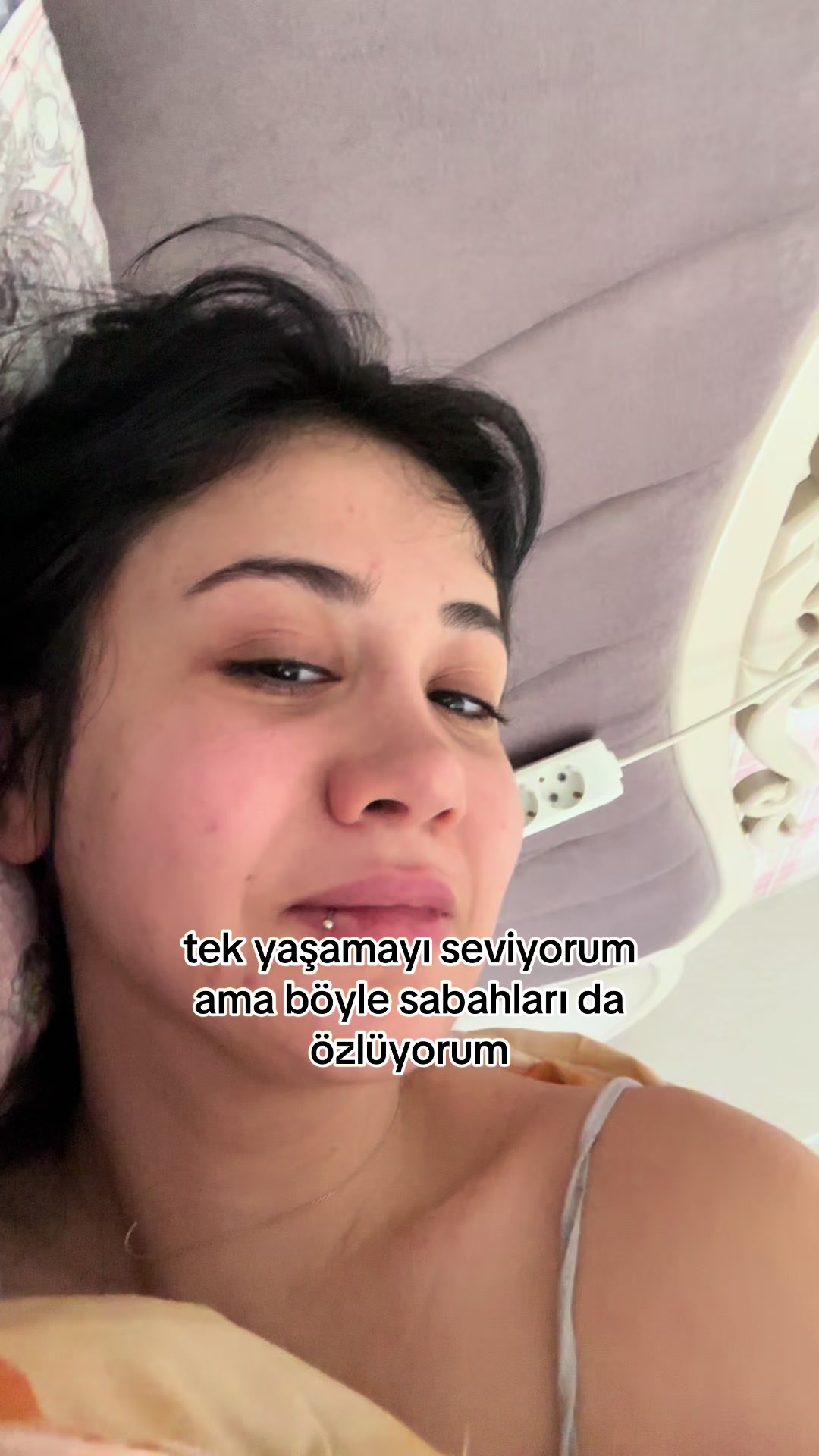 @edev dicle