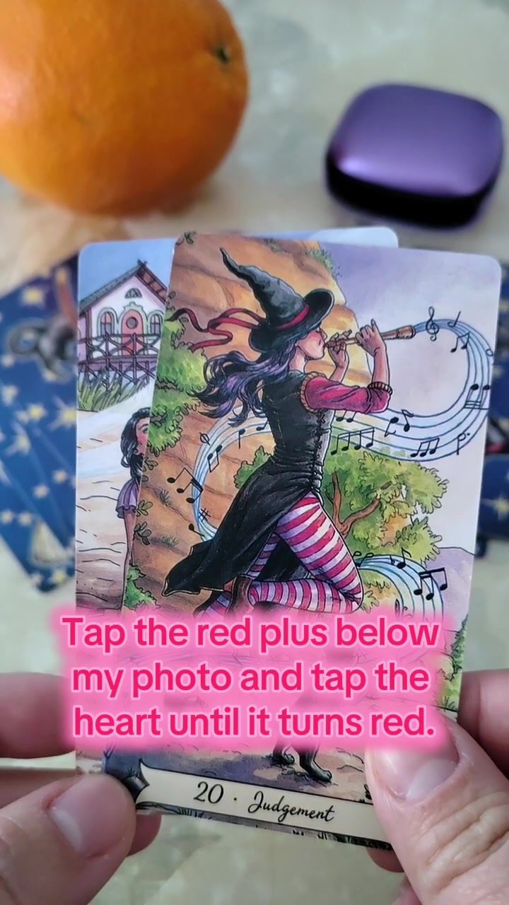 @dnnx6362