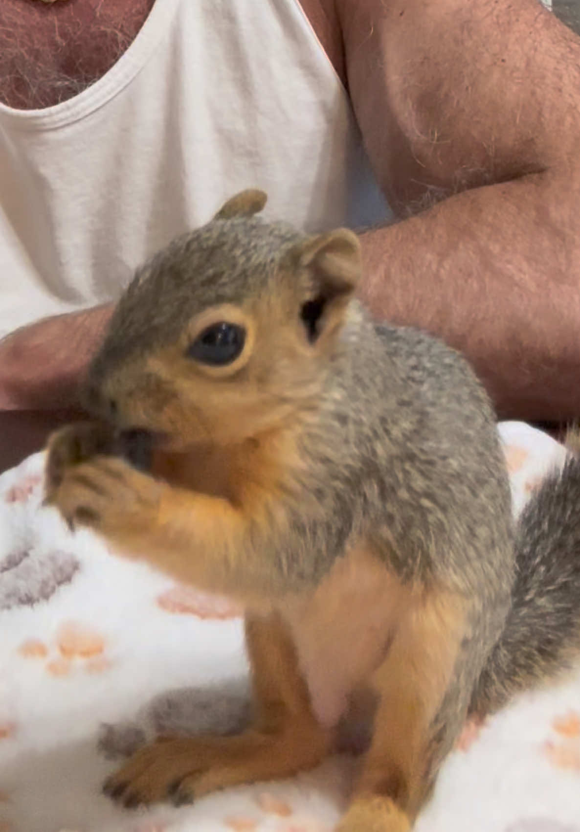 @Squirrel Guy