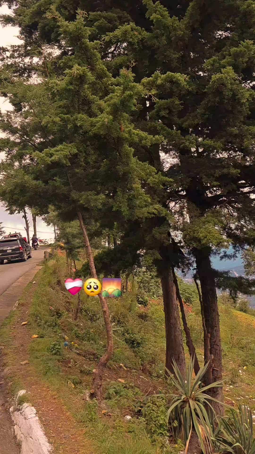 @Rôcîô🦋🫦😼