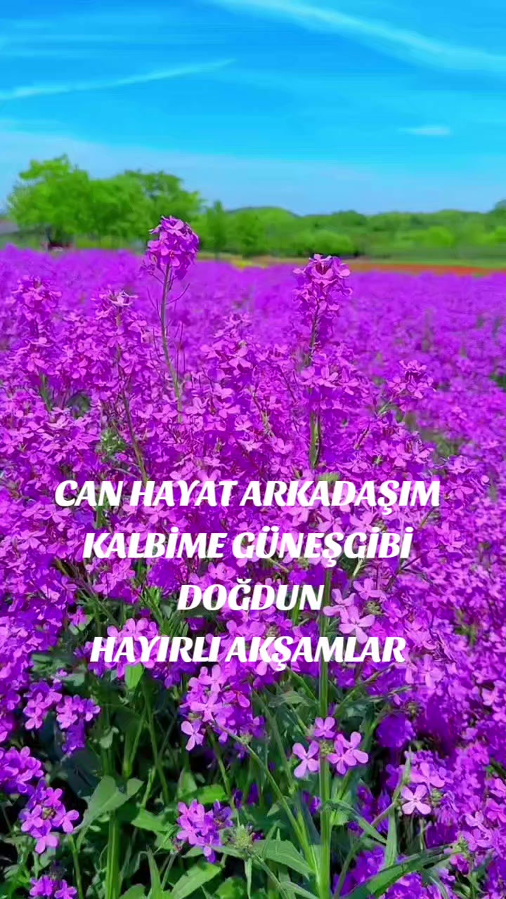 @Hasan Yılmaz