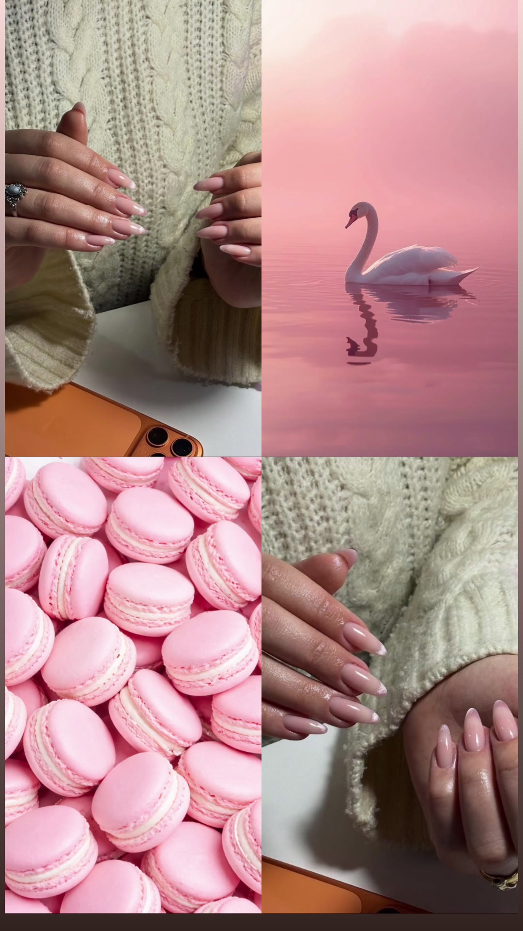 @Bloom Aesthetic