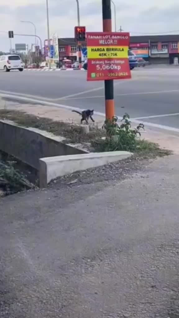 @๐ ๊ลฑρั๐ส๐ข๐ั ๐