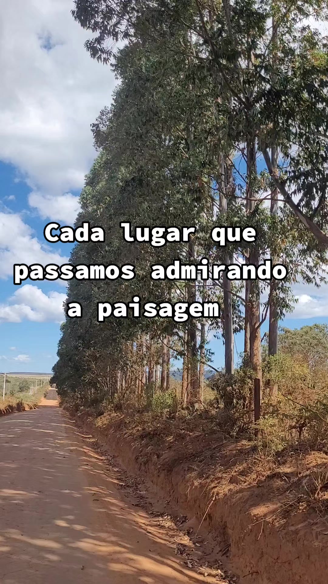 @Lia Caires