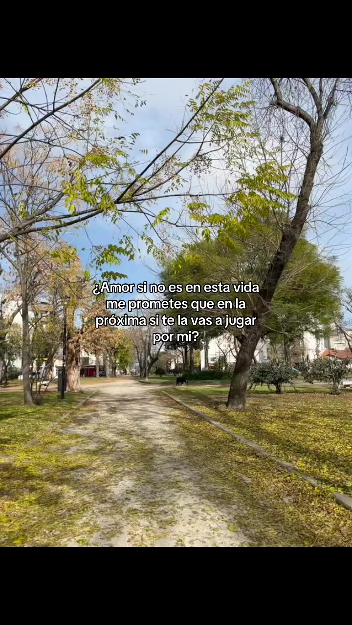 @lamiluucr
