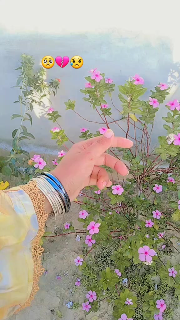@❤️🧸سرگودھا کی شہزادی 👑👰