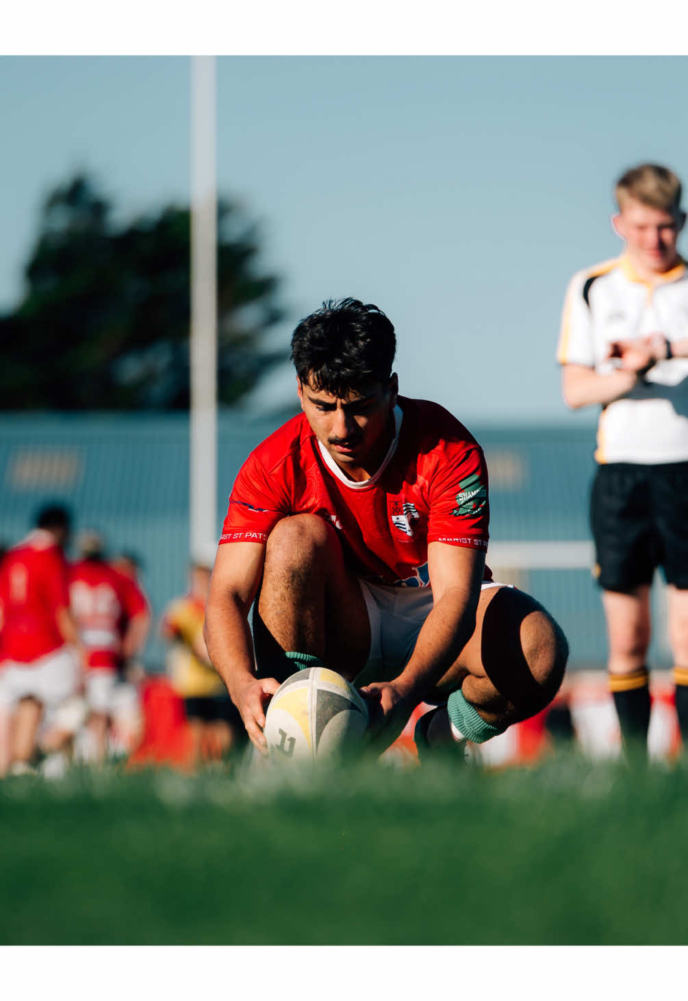 @msprugby
