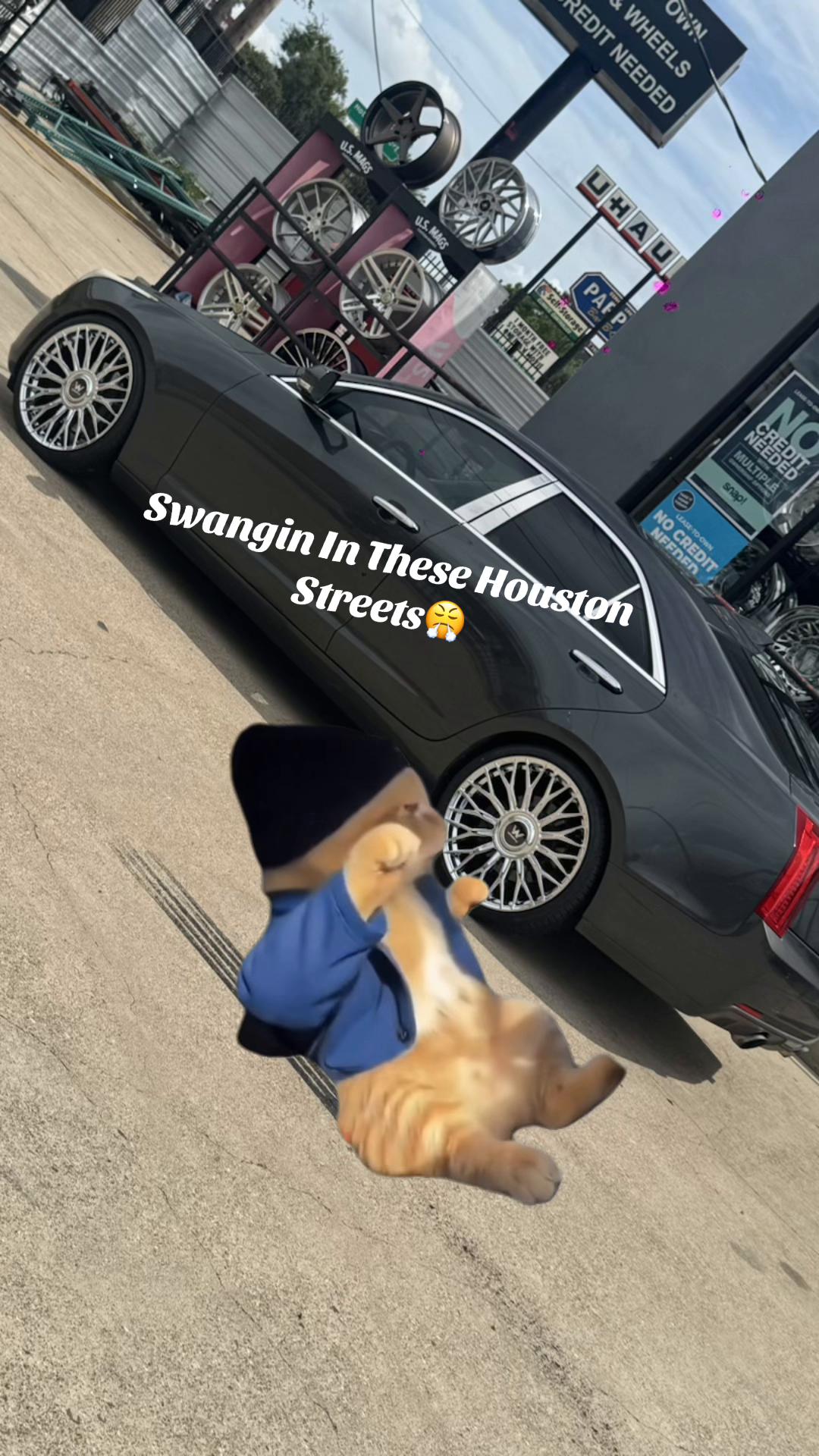 @Big Daddy😤